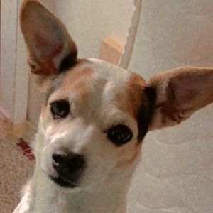 Meet your Posher, Hellen